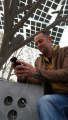 Un arbre connecté pour recharger vos batteries 